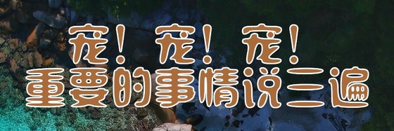 宠！宠！宠！重要的事情说三遍